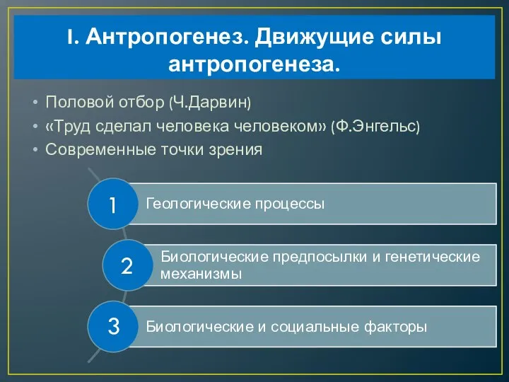 I. Антропогенез. Движущие силы антропогенеза. Половой отбор (Ч.Дарвин) «Труд сделал человека