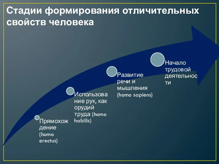 Стадии формирования отличительных свойств человека