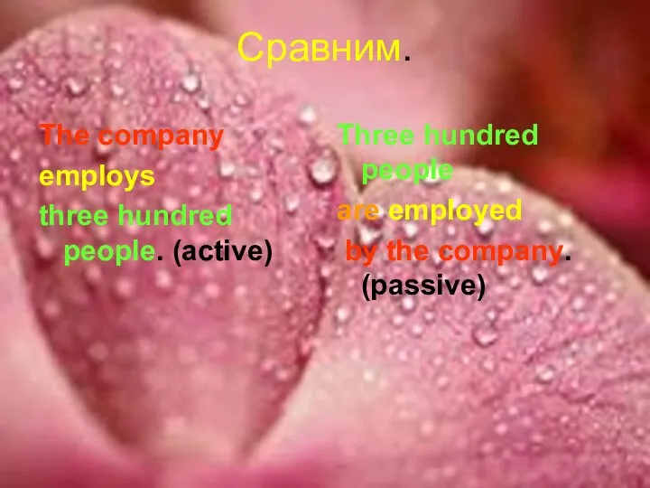 Сравним. The company employs three hundred people. (active) Three hundred people