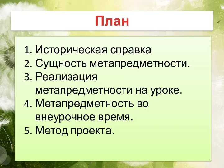 План Историческая справка Сущность метапредметности. Реализация метапредметности на уроке. Метапредметность во внеурочное время. Метод проекта.