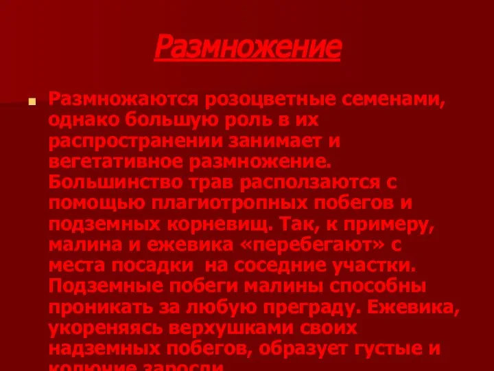 Размножение Размножаются розоцветные семенами, однако большую роль в их распространении занимает