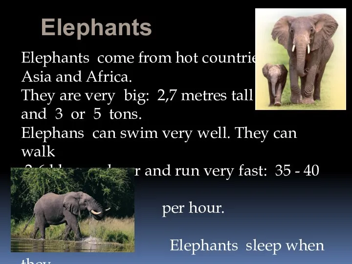 Elephants Elephants come from hot countries : Asia and Africa. They