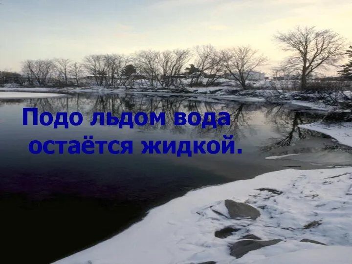 Подо льдом вода остаётся жидкой. Подо льдом вода остаётся жидкой.