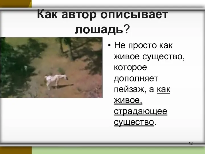 Как автор описывает лошадь? Не просто как живое существо, которое дополняет