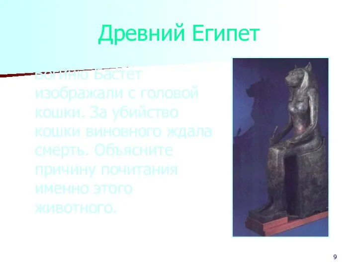 Древний Египет Богиню Бастет изображали с головой кошки. За убийство кошки