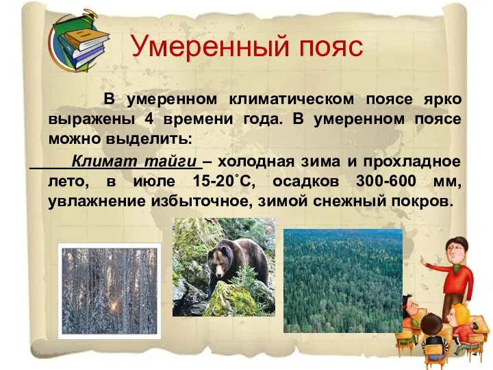 Умеренный пояс В умеренном климатическом поясе ярко выражены 4 времени года.