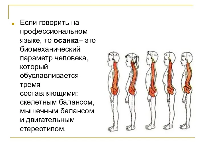 Если говорить на профессиональном языке, то осанка– это биомеханический параметр человека,