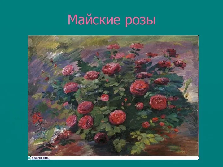 Майские розы