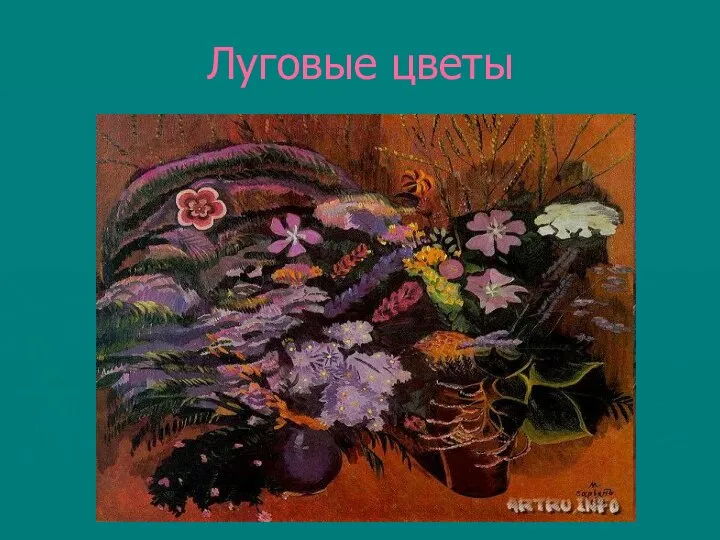 Луговые цветы