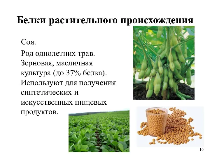 Белки растительного происхождения Соя. Род однолетних трав. Зерновая, масличная культура (до