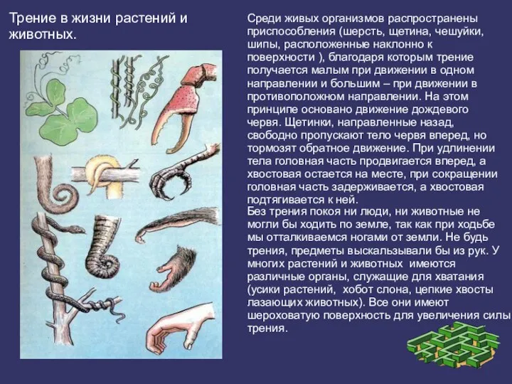 Среди живых организмов распространены приспособления (шерсть, щетина, чешуйки, шипы, расположенные наклонно