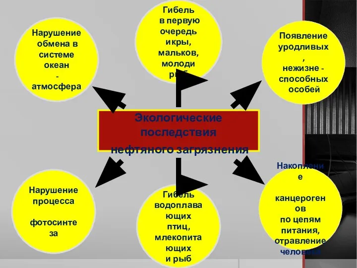 Экологические последствия нефтяного загрязнения Нарушение обмена в системе океан - атмосфера