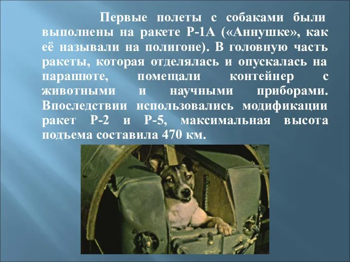 Первые полеты с собаками были выполнены на ракете Р-1А («Аннушке», как