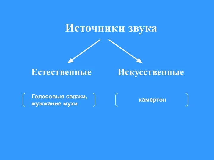 Источники звука Естественные Искусственные Голосовые связки, жужжание мухи камертон