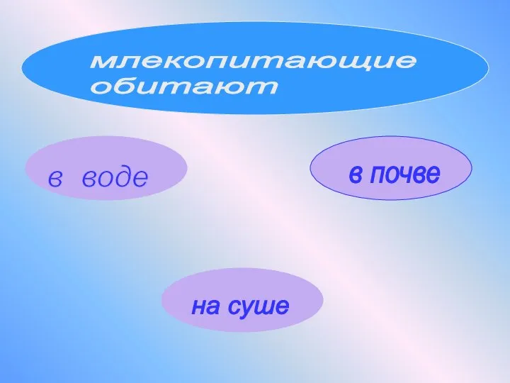 млекопитающие обитают в воде на суше в почве