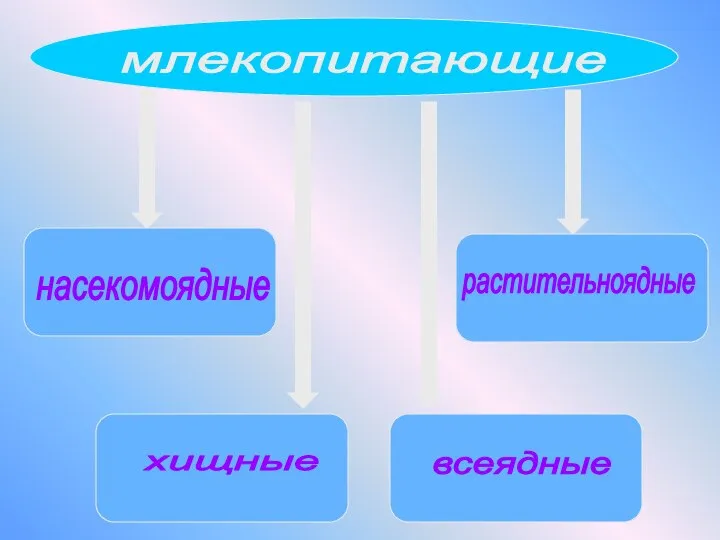 млекопитающие насекомоядные растительноядные хищные всеядные