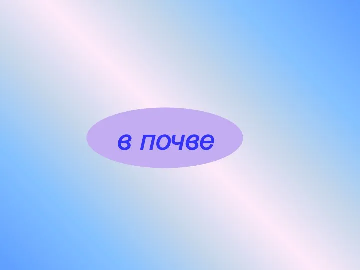 в почве