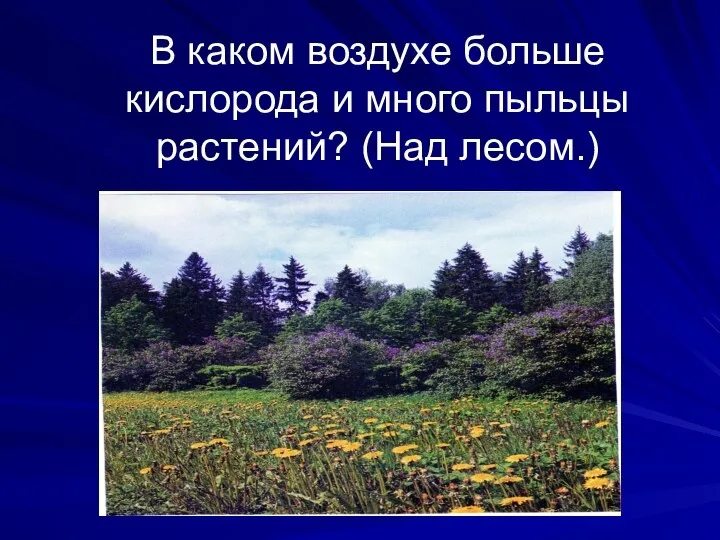 В каком воздухе больше кислорода и много пыльцы растений? (Над лесом.)