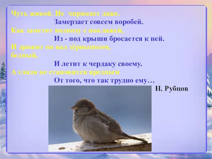 Чуть живой. Не чирикает даже. Замерзает совсем воробей. Как заметит подводу