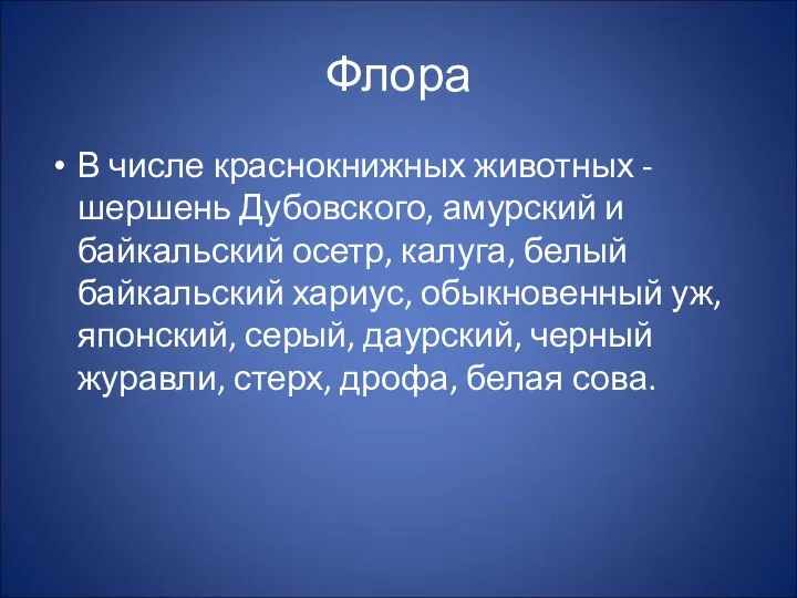 Флора В числе краснокнижных животных - шершень Дубовского, амурский и байкальский