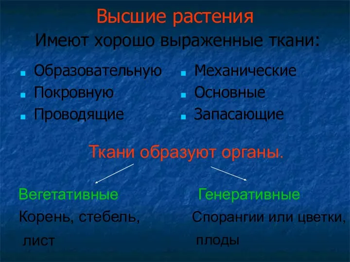 Высшие растения Имеют хорошо выраженные ткани: Образовательную Покровную Проводящие Механические Основные