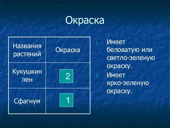 Окраска Имеет беловатую или светло-зеленую окраску. Имеет ярко-зеленую окраску. 2 1