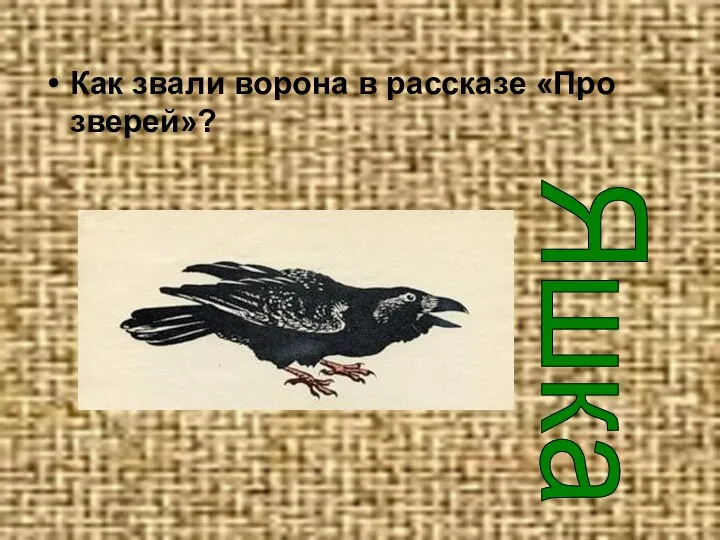 Как звали ворона в рассказе «Про зверей»? Яшка