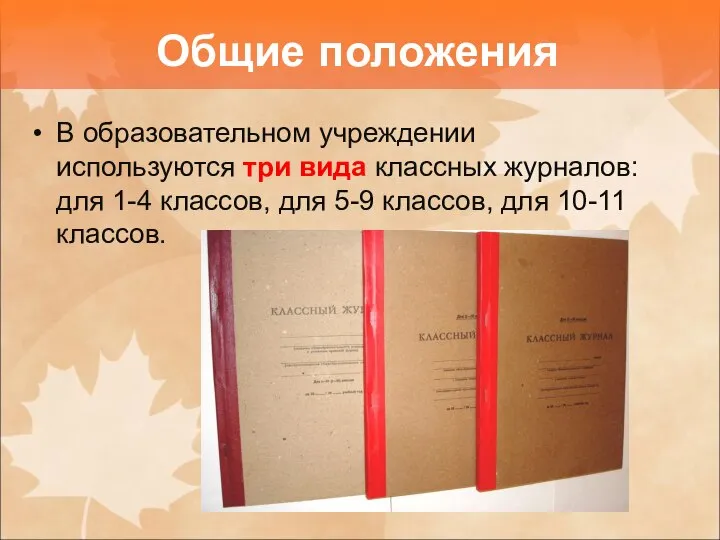 В образовательном учреждении используются три вида классных журналов: для 1-4 классов,