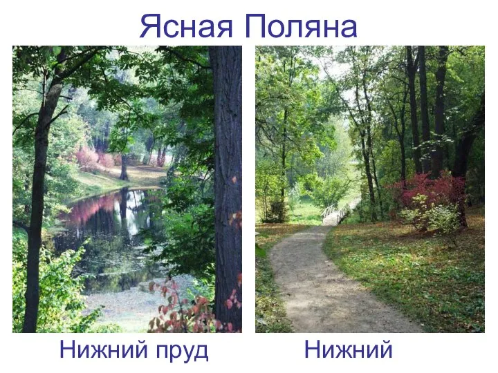 Ясная Поляна Нижний пруд Нижний парк