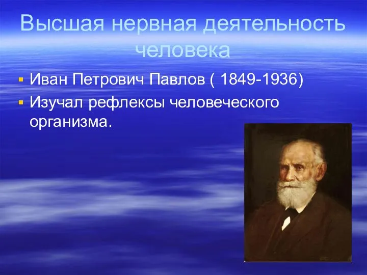 Высшая нервная деятельность человека Иван Петрович Павлов ( 1849-1936) Изучал рефлексы человеческого организма.