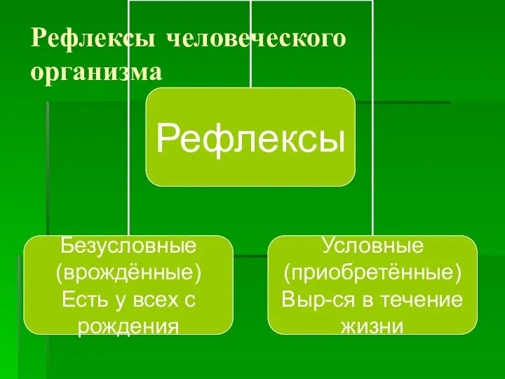 Рефлексы человеческого организма