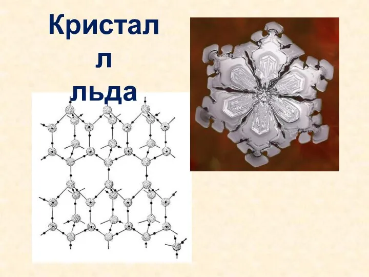 Кристалл льда