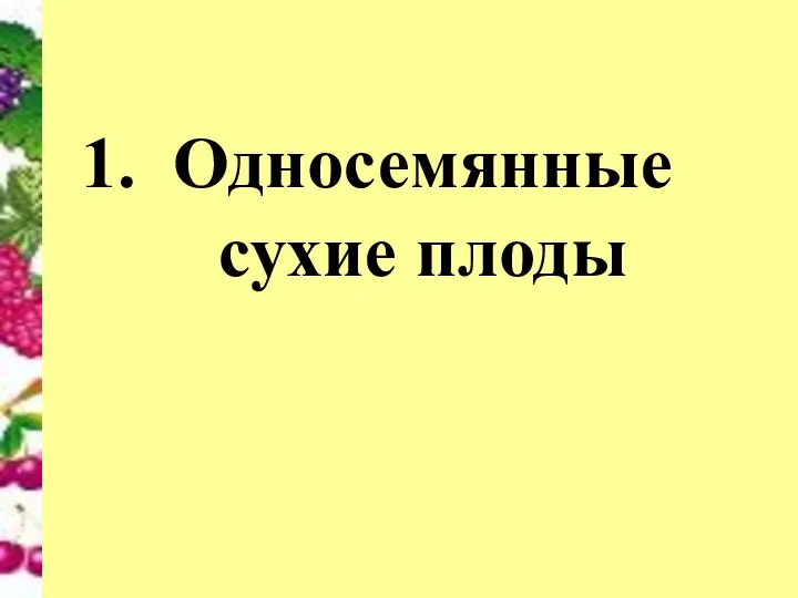 Односемянные сухие плоды