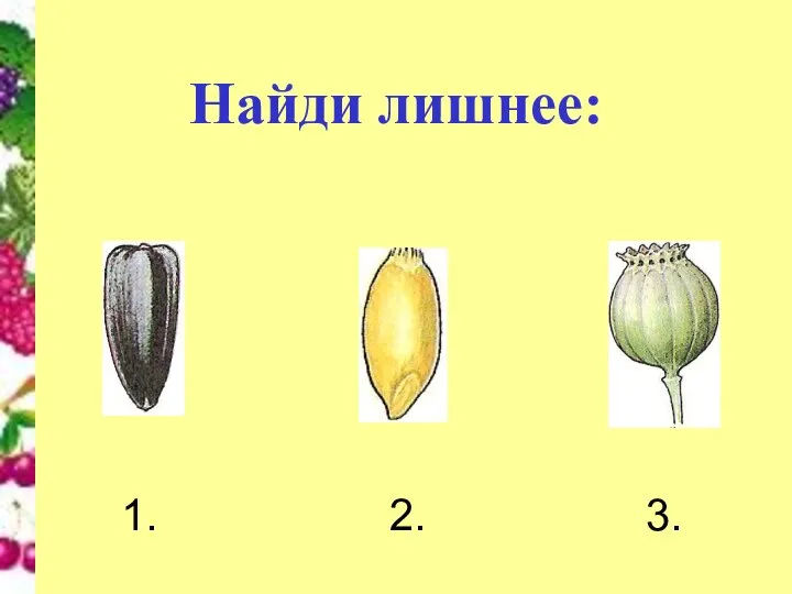 Найди лишнее: 1. 2. 3.