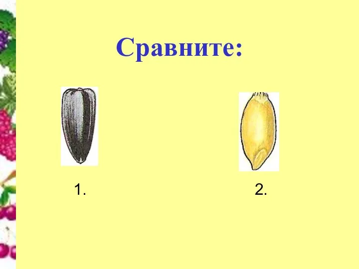 Сравните: 1. 2.