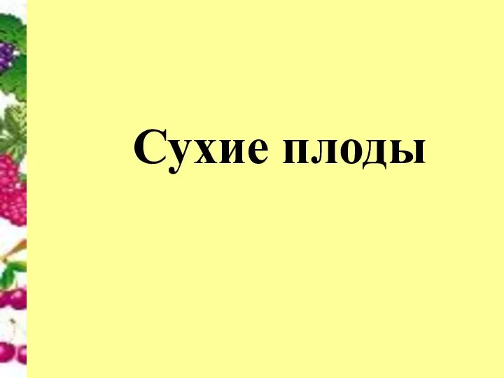 Сухие плоды