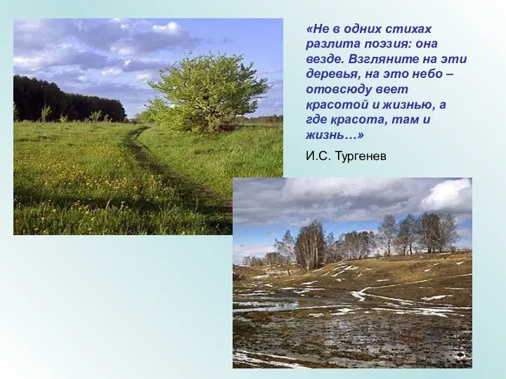 «Не в одних стихах разлита поэзия: она везде. Взгляните на эти