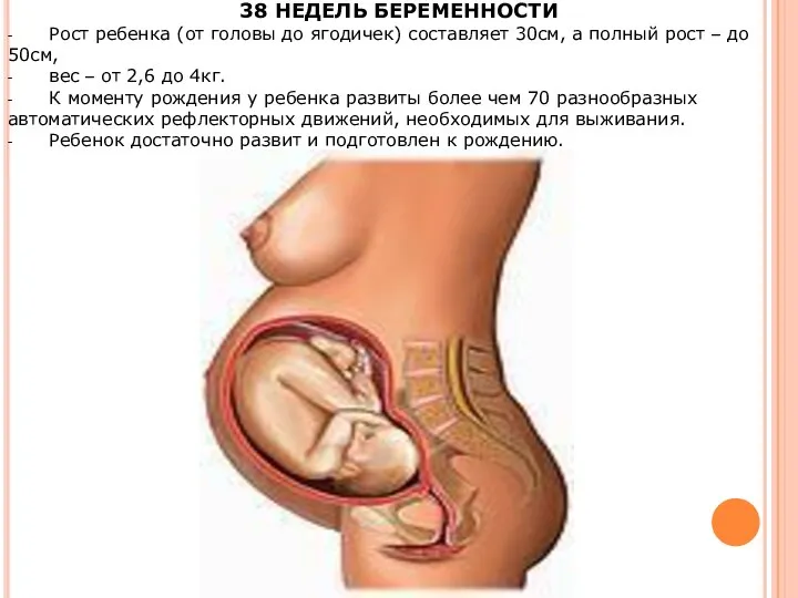 38 НЕДЕЛЬ БЕРЕМЕННОСТИ - Рост ребенка (от головы до ягодичек) составляет