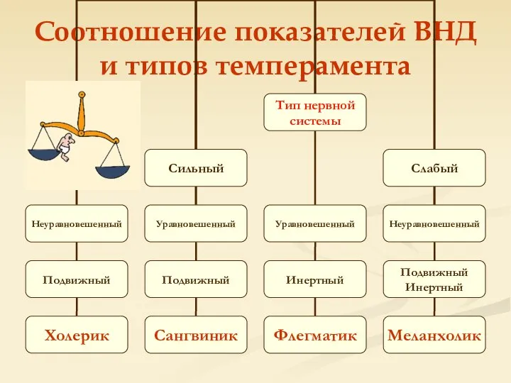 Соотношение показателей ВНД и типов темперамента