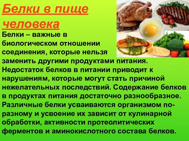 Белки – важные в биологическом отношении соединения, которые нельзя заменить другими