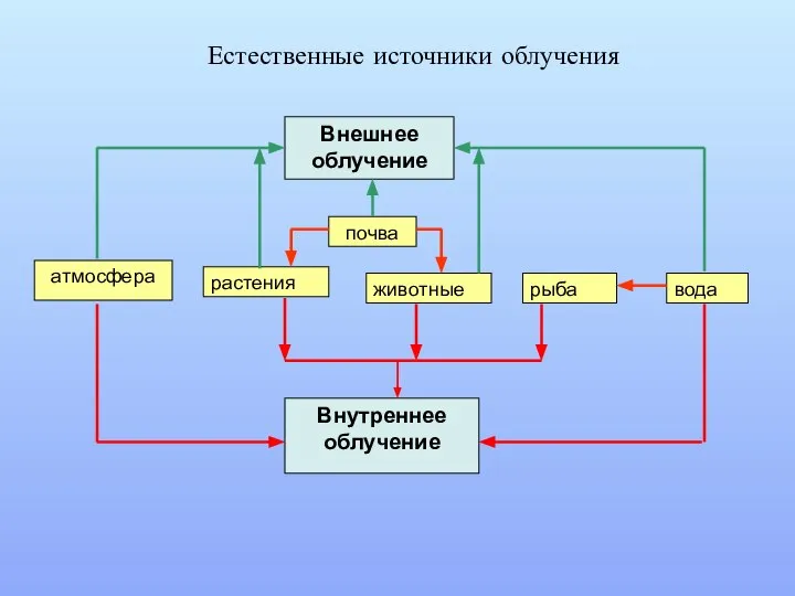 Естественные источники облучения Внешнее облучение почва атмосфера растения животные рыба вода Внутреннее облучение