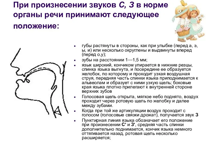 При произнесении звуков С, З в норме органы речи принимают следующее