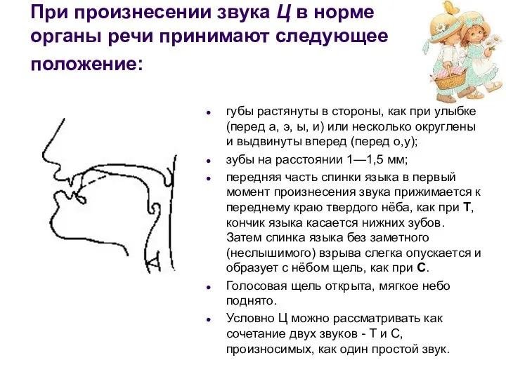 При произнесении звука Ц в норме органы речи принимают следующее положение: