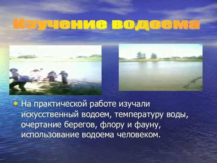 На практической работе изучали искусственный водоем, температуру воды, очертание берегов, флору