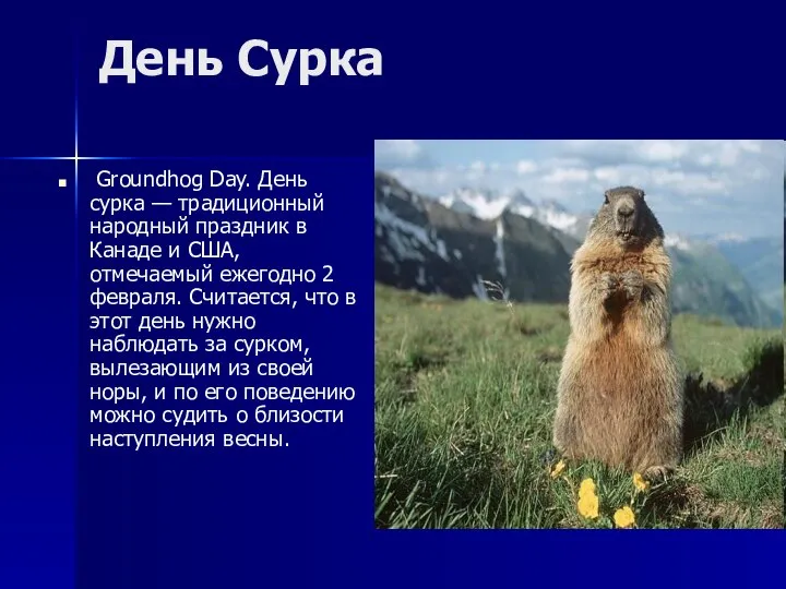День Сурка Groundhog Day. День сурка — традиционный народный праздник в
