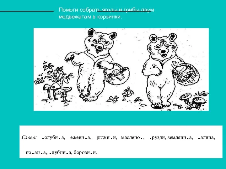 Помоги собрать ягоды и грибы двум медвежатам в корзинки. Слова: .олуби.а,