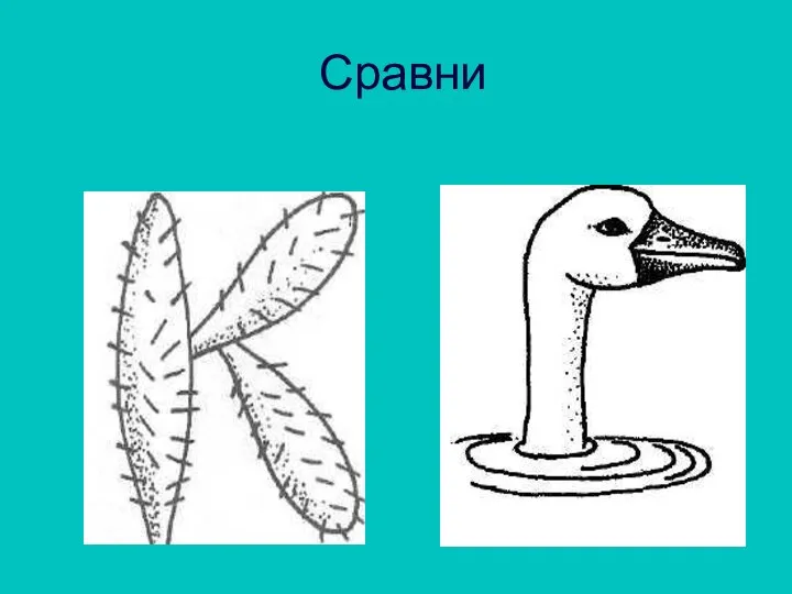 Сравни