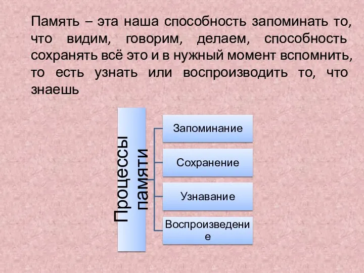 Память – эта наша способность запоминать то, что видим, говорим, делаем,