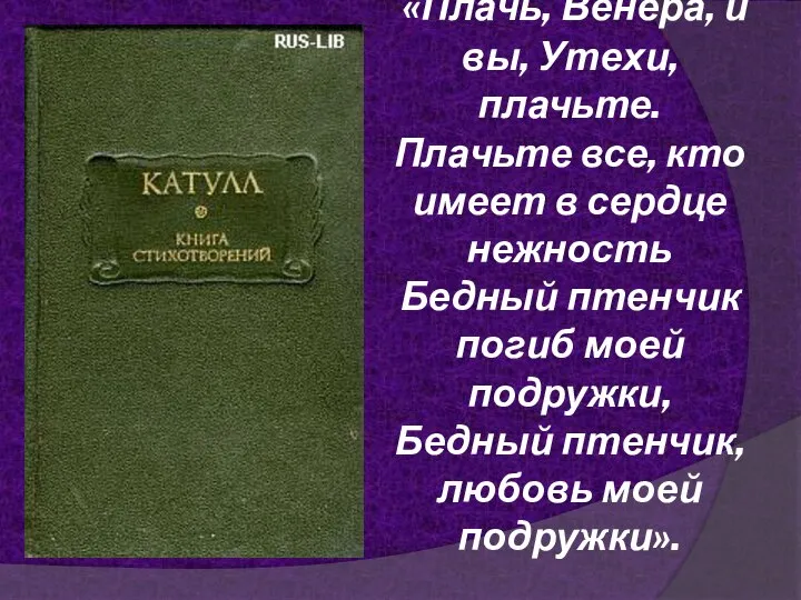 «Плачь, Венера, и вы, Утехи, плачьте. Плачьте все, кто имеет в