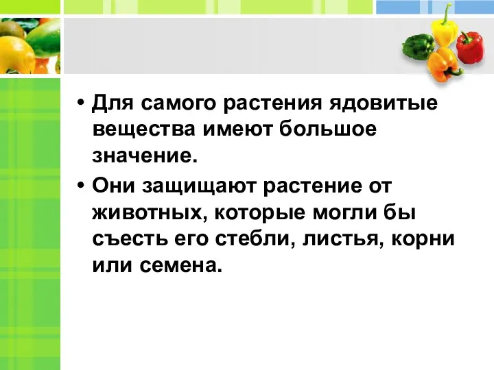 Для самого растения ядовитые вещества имеют большое значение. Они защищают растение